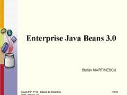Enterprise Java Beans 3.0