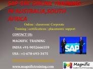 sap mdg online training in usa