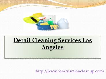 Detail Cleaning Services Los Angeles (1)