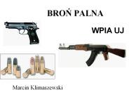 BRON PALNA