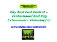Professional Bed Bug Exterminator - www.citybestpestcontrol.com PowerPoint PPT Presentation
