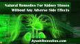 Natural Remedies For Kidney Stones Without Any Adverse Side Effects PowerPoint PPT Presentation