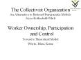 The Collectivist Organization An Alternative to Rational-Bureaucratic Models Joyce Rothschild-Whitt PowerPoint PPT Presentation