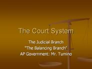 The Court System