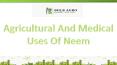Agricultural And Medical Uses Of Neem