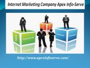 Ethical SEO Company USA -  Apex Info-Serve