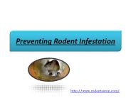 Preventing Rodent Infestation