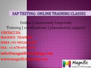sap testing online training in pune