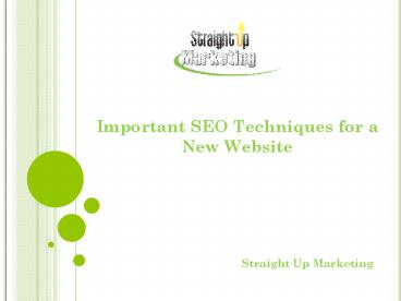 Important SEO Techniques for a New Website