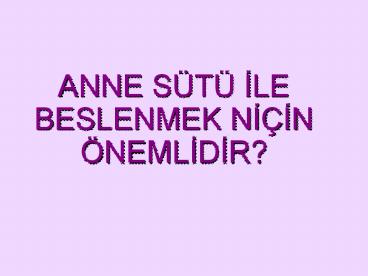 ANNE S
