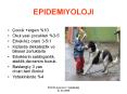 EPIDEMIYOLOJI PowerPoint PPT Presentation