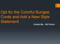 Opt for the Colorful Bungee Cords and Add a New Style Statement PowerPoint PPT Presentation