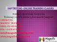sap testing online training in hyderabad PowerPoint PPT Presentation