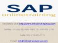SAP FSCM Training Course Online and Placement - Online Training in SAP PowerPoint PPT Presentation