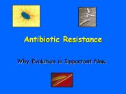 Antibiotic Resistance