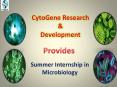 Summer Internship in Microbiology-A Way To A Great Career PowerPoint PPT Presentation