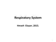 Respiratory System