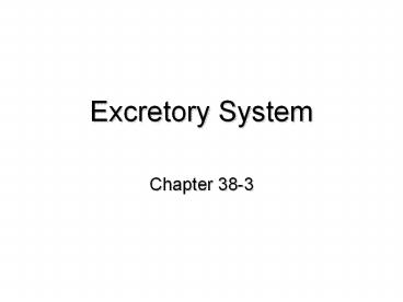 Excretory System