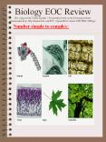 Biology EOC Review Not composed by Yvette Karcher  PowerPoint PPT Presentation