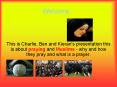 This is Charlie, Ben and Kieran's presentation this is about praying and Muslims - why and how they pray and what is a prayer. PowerPoint PPT Presentation