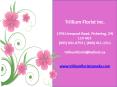 Trillium Florist Inc. - Best Flower Shops in Toronto