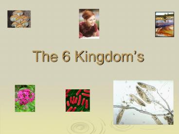 The 6 Kingdom