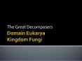 Domain Eukarya Kingdom Fungi PowerPoint PPT Presentation