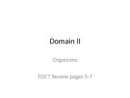 Domain II