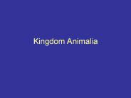 Kingdom Animalia