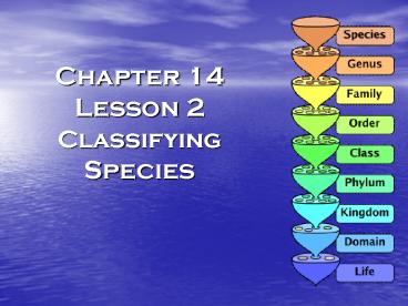 Chapter 14 Lesson 2 Classifying Species