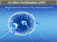 In vitro fertilization - IVF in India PowerPoint PPT Presentation