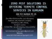 Termite control services in Gurgaon- Zero Pest Solutions