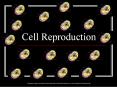 Cell Reproduction PowerPoint PPT Presentation