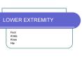 LOWER EXTREMITY PowerPoint PPT Presentation