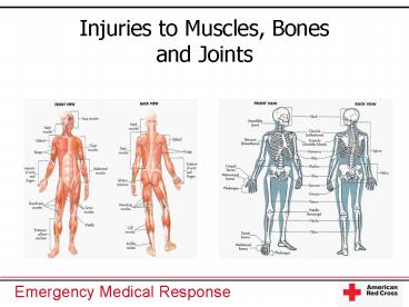 Injuries to Muscles, Bones and Joints
