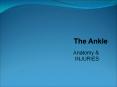 The%20Ankle PowerPoint PPT Presentation