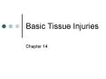 Basic Tissue Injuries PowerPoint PPT Presentation