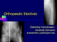 Orthopaedic%20Electives PowerPoint PPT Presentation