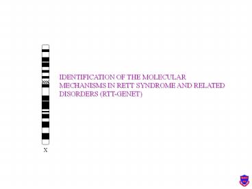 IDENTIFICATION OF THE MOLECULAR MECHANISMS IN RETT SYNDROME AND RELATED DISORDERS (RTT-GENET)