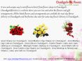 Send Mothers Day Flowers to Chandigarh PowerPoint PPT Presentation