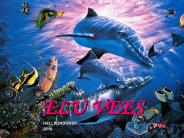 ELU%20VEES