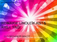 KONJUGE LINOLEIK ASIT