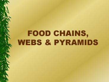 FOOD CHAINS, WEBS