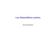 Les Mammif
