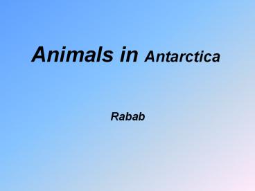Animals in Antarctica