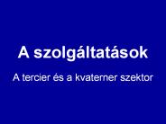 A szolg