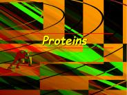 PROTEINS