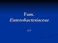 Fam. Enterobacteriaceae PowerPoint PPT Presentation