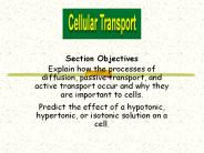 Section Objectives