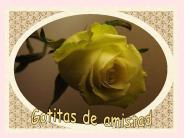 Gotitas%20de%20amistad